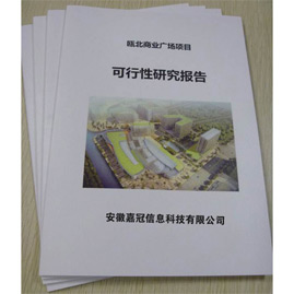 可研性報告